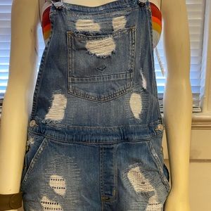 Hudson Overall Shorts
